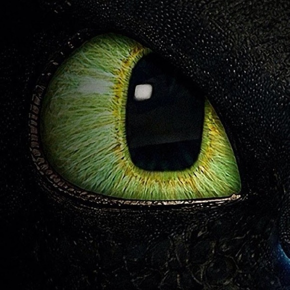 creativedragon